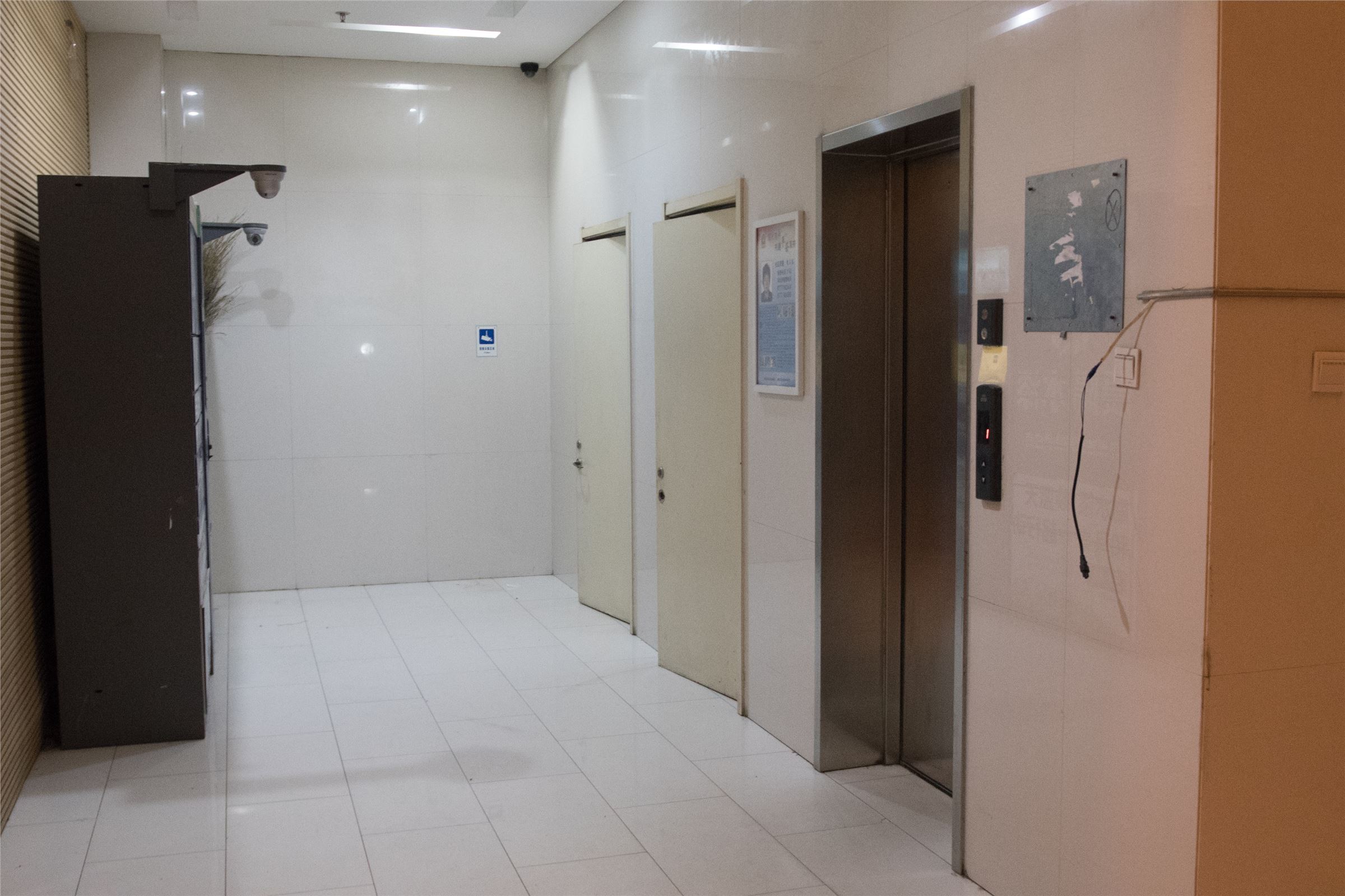 [TouTiao头条女神] 2018.05.08 女神探店 猫咪